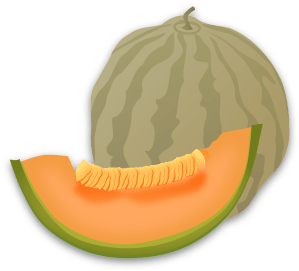 cantaloupe-42903_1280